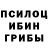 Галлюциногенные грибы Psilocybine cubensis Gulaiym Zhumabaeva