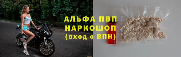 PSILOCYBIN Гусев