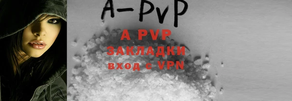 PSILOCYBIN Гусев