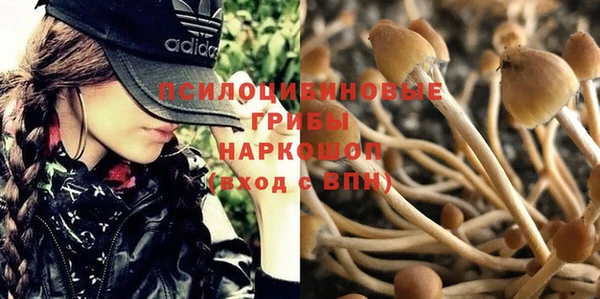 прущий лед Гусь-Хрустальный