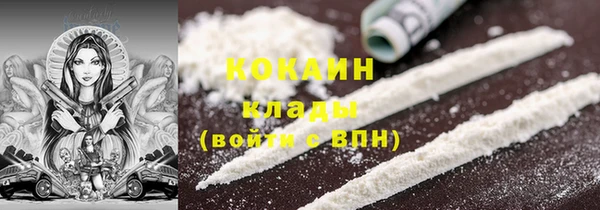 PSILOCYBIN Гусев