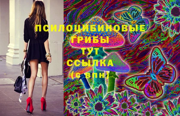 PSILOCYBIN Гусев