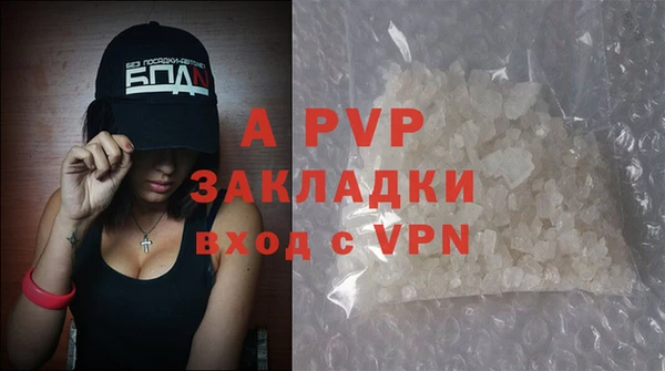 PSILOCYBIN Гусев