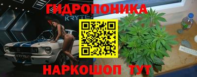 винт Пенза