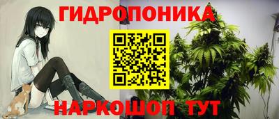 индика Первоуральск