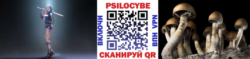 Галлюциногенные грибы Psilocybe  магазин    hydra маркетплейс  Дюртюли 