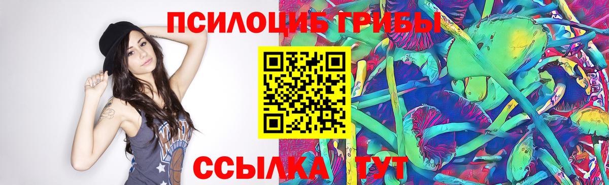 Галлюциногенные грибы Cubensis Дюртюли